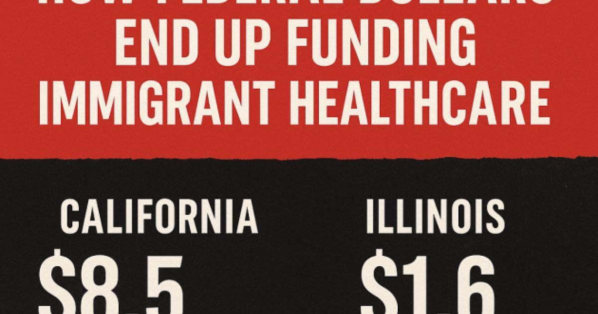 The Sleight of Hand — How Federal Dollars End Up Backing Immigrant Health Programs