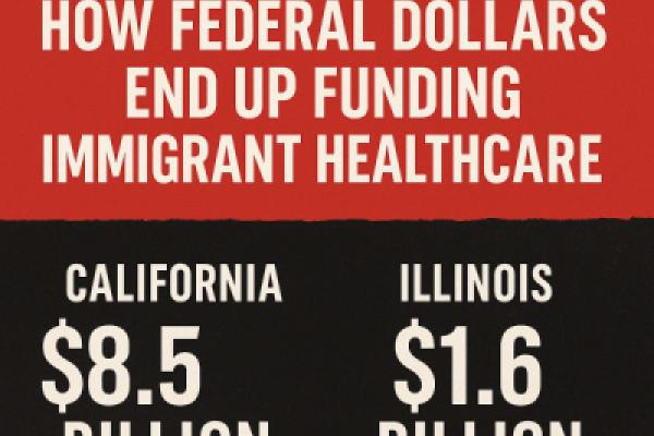 The Sleight of Hand — How Federal Dollars End Up Backing Immigrant Health Programs